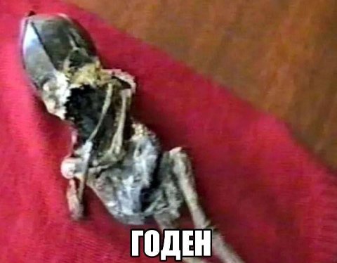 ОДЕН