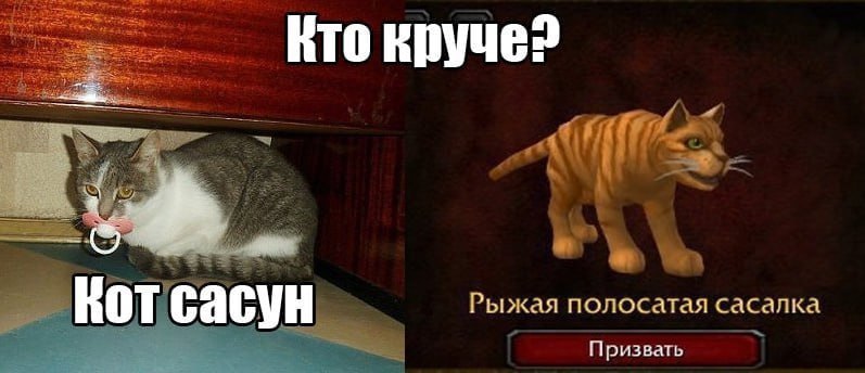 Вто круче? Рыжая полосатая сасалка Кот сасун Призвать