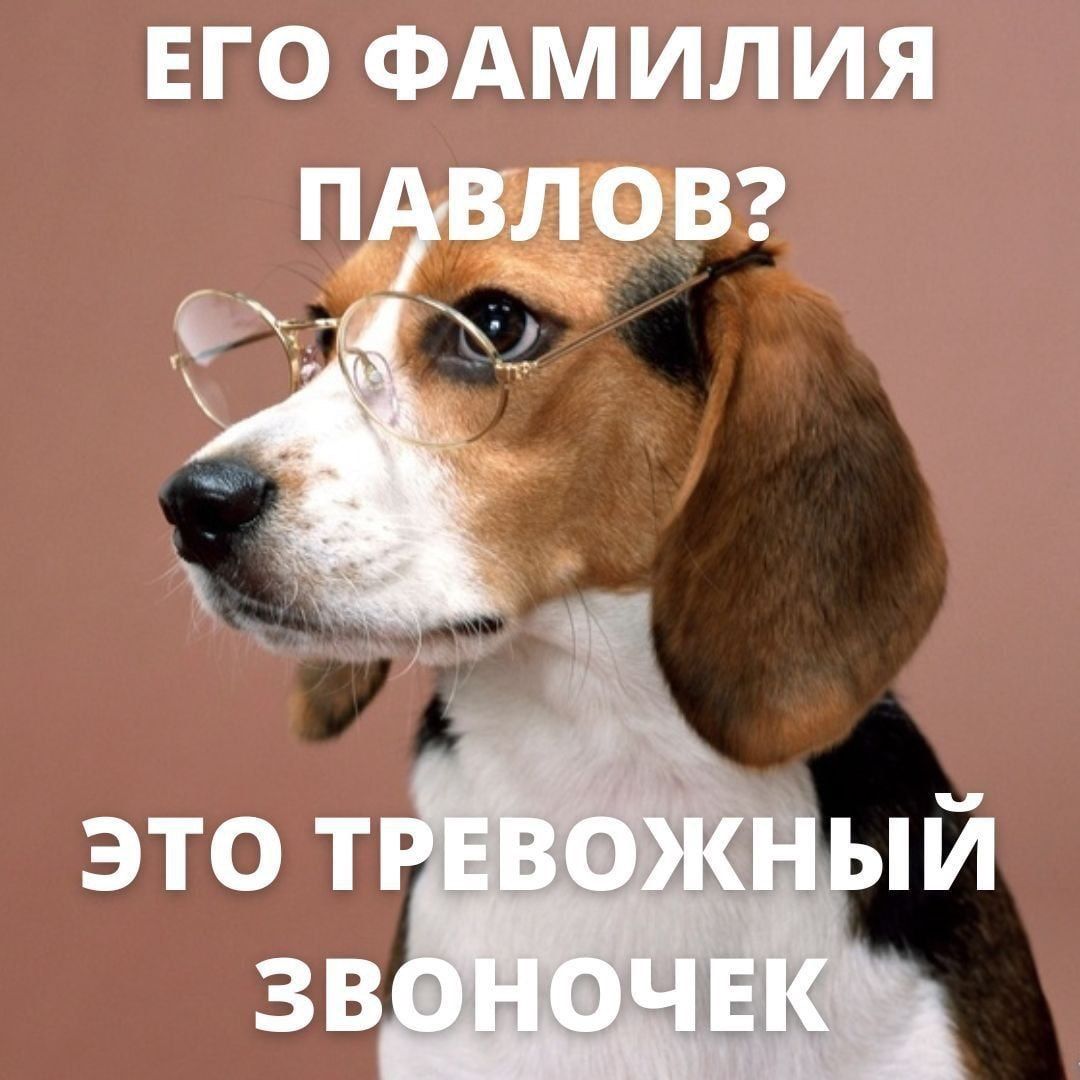 ЕГО ФАМИЛИЯ ПАВЛОВ? 4 это ЗВОНОЧЕК