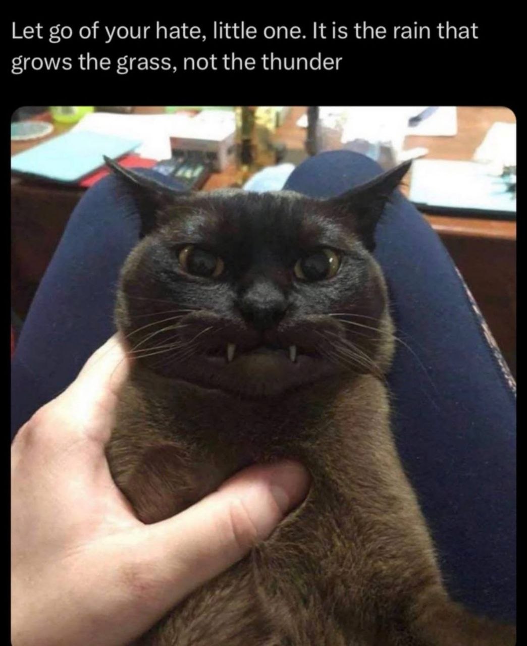 Let of your hate, little one. It is the rain that grows the grass, not the thunder