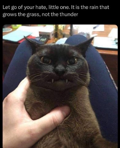 Let of your hate, little one. It is the rain that grows the grass, not the thunder