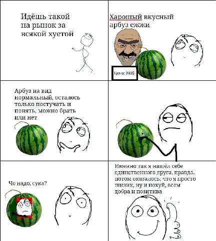 Идёшь такой Харошый вкусный на рынок за арбуз ежжи всякой хуетой A Арбуз на вид нормальный, осталось только постучать и понять, можно брать или нет Именно так я нашёл себе единственного друга, правда,