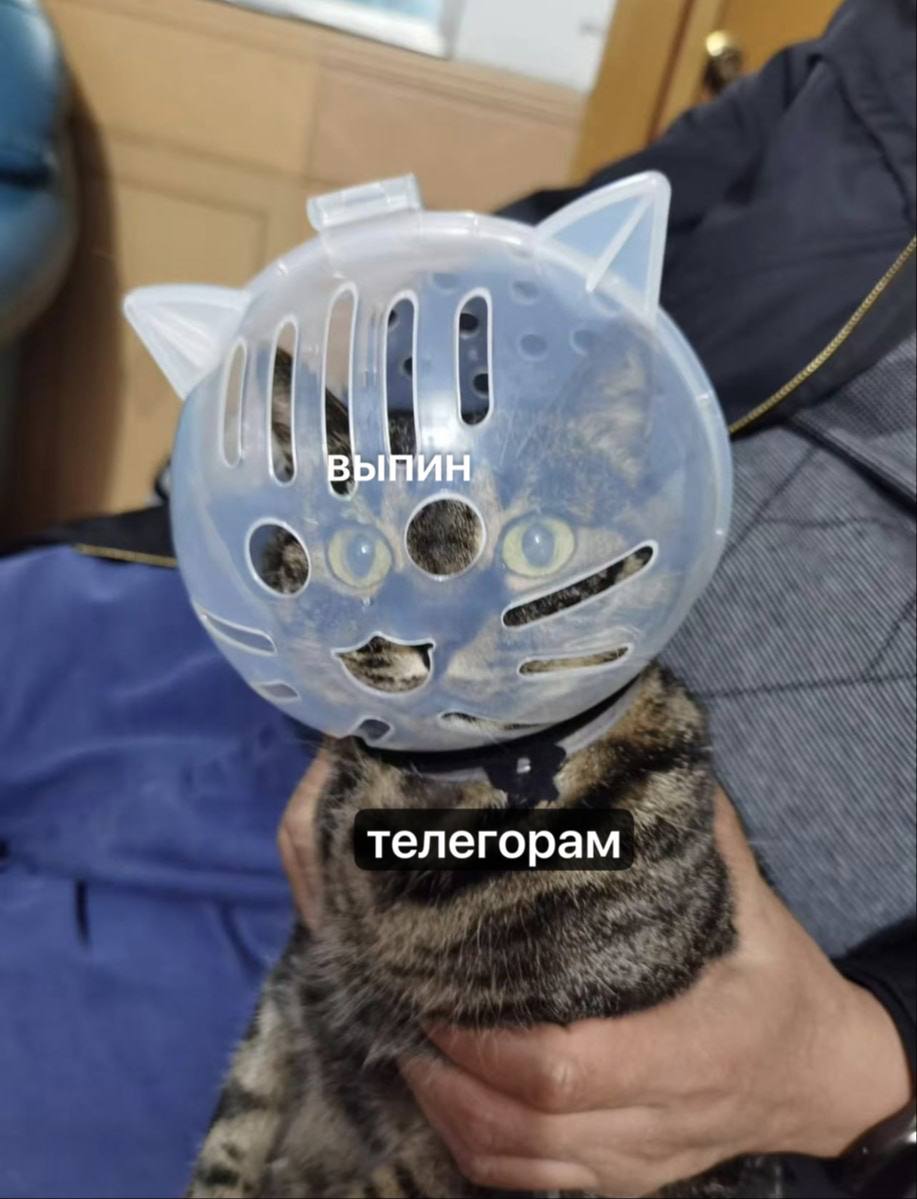 i телегорам