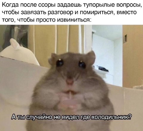 Когда после ссоры задаешь тупорылые вопросы, чтобы завязать разговор и помириться, вместо того, чтобы просто извиниться: Я А ты случайно не видел где холодильник?