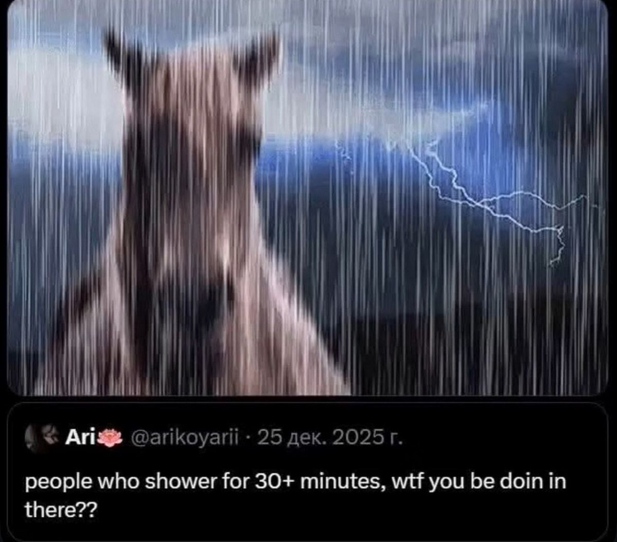 i people who shower for 30+ minutes. wtf you be cloin in there??