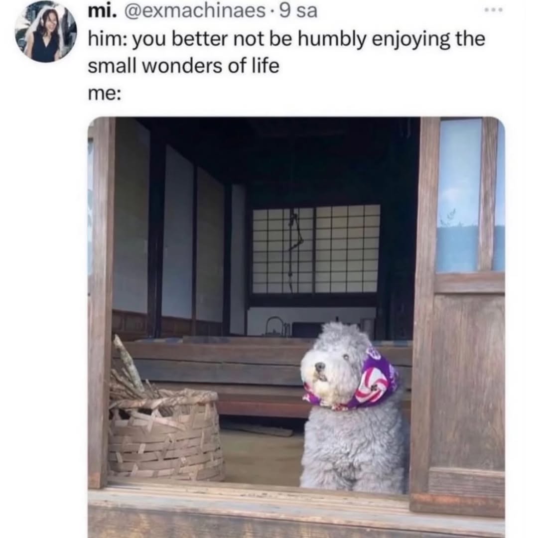 him: you better not be humbly enjoying the small wonders of life me: