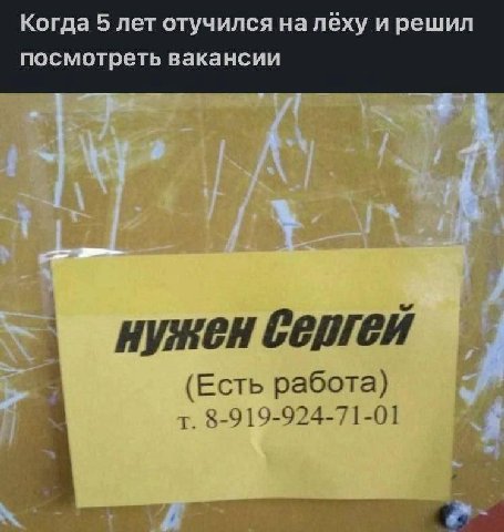Когда 5 лет отучился на лёху и решил посмотреть вакансии Нужен Сергей 4 (Есть работа) a 8-919-924-71-01