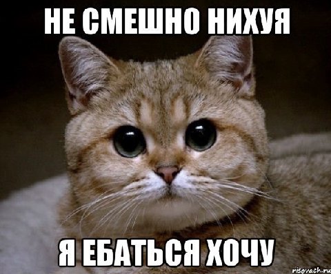 НЕ СМЕШНО НИХУЯ ЯЕБАТЬСЯ ХОЧУ