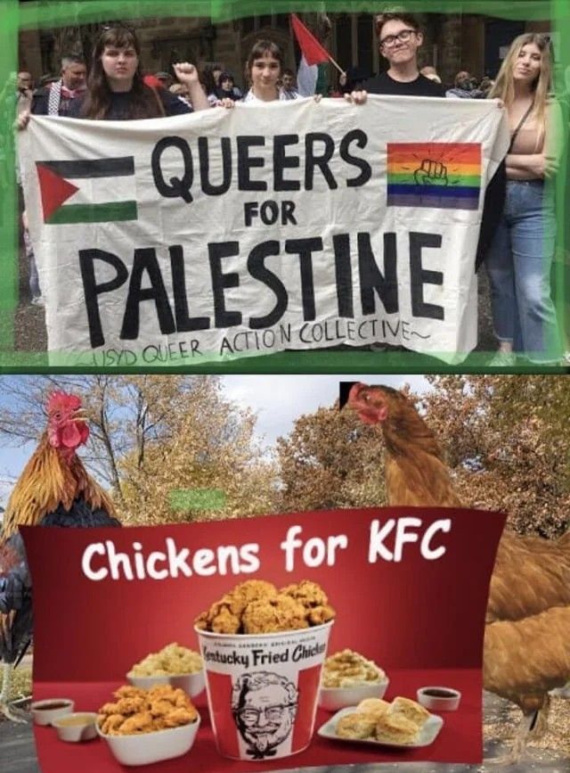 2 QUEERS FOR TINE 5 АСПО 5 к. Chickens for KFC Fried