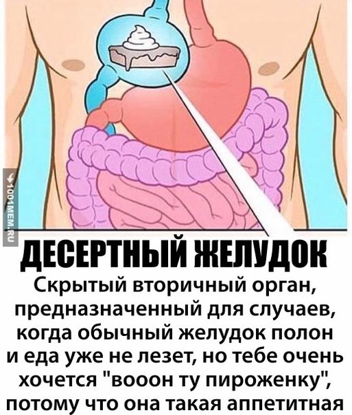 3 ДЕСЕРТНЫЙ Скрытый вторичный орган, предназначенный для случаев, когда обычный желудок полон уже не лезет, тебе очень хочется "вооон пироженку", потому что она такая аппетитная