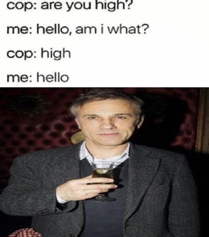 сор: are you me: hello, i what? cop: high me: hello