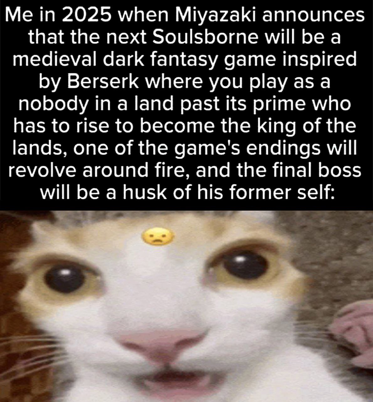 Me in 2025 when Miyazaki announces that the next Soulsborne will be a medieval dark fantasy game inspired Berserk where you play as a nobody in a land past its prime who has to rise to become the king