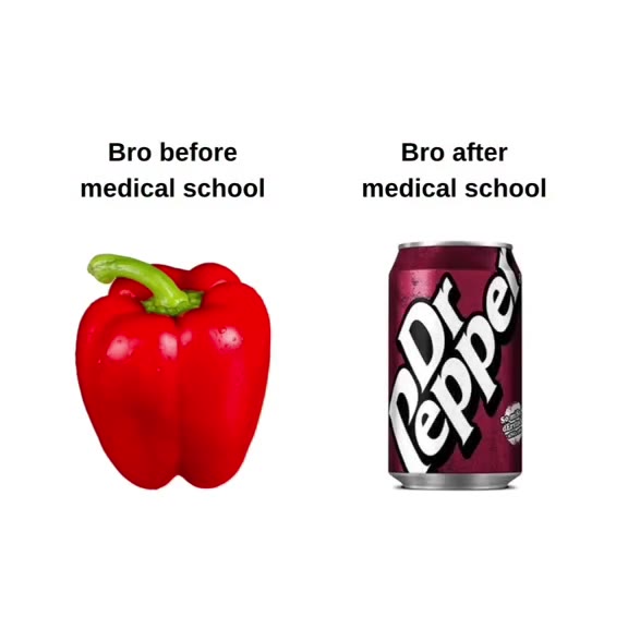 Bro before Bro after medical school medical school