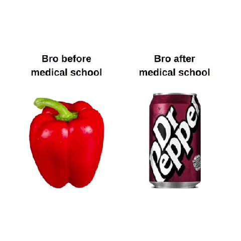Bro before Bro after medical school medical school
