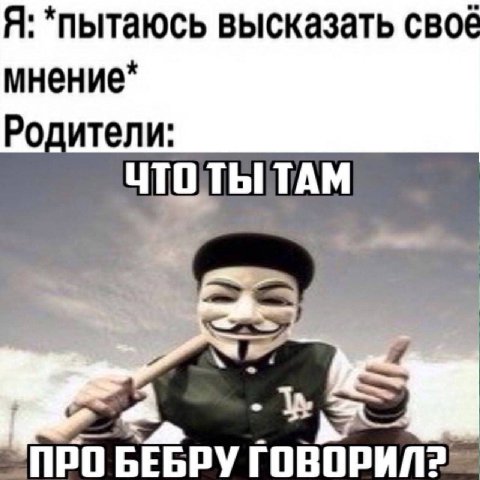 Я: *пытаюсь высказать своё мнение* ители. ТЫТАМ ПРО БЕБРУ ГОВОРИЛ?