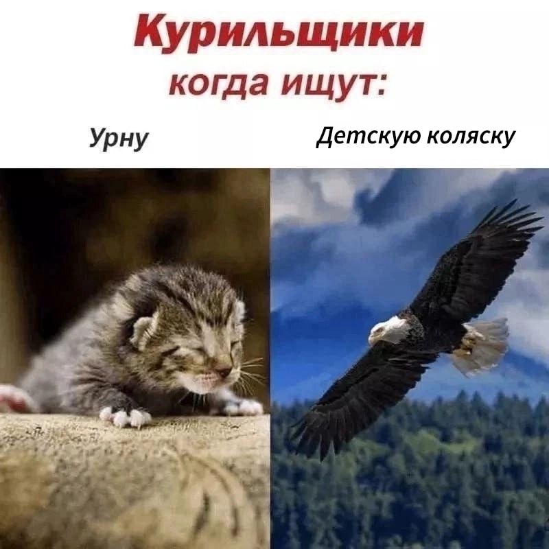 не смог найти мем поэтмоу пришлось воссоздавать из памяти