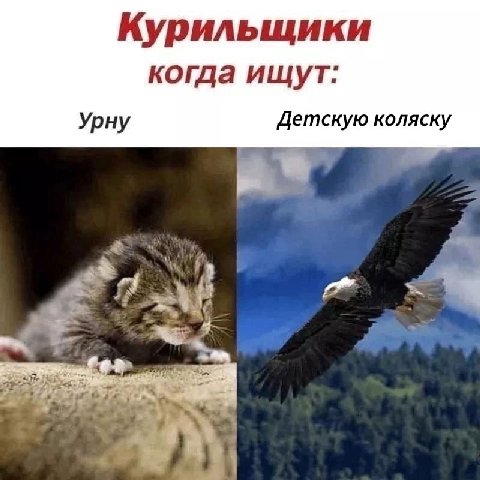 не смог найти мем поэтмоу пришлось воссоздавать из памяти