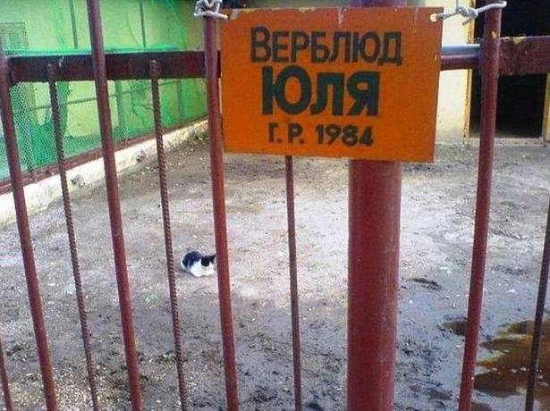 4 4 В. 2 3