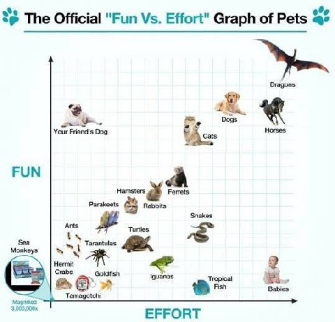 ‘8 The Official "Рип Effort Graph of Pets к. Friend’s Dag Cats FUN Hamsters Ferrets Parakeets Snakes Ants Turtles Monkeys 4 Hermit Iguanas Babies Tamagotchi 3,000,000; EFFORT