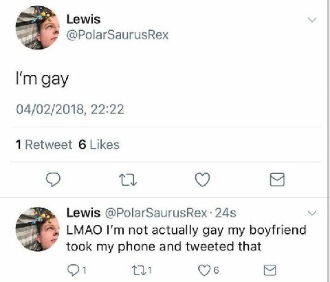 Lewis У @PolarSaurusRex gay 04/02/2018, 22:22 1 Retweet 6 Likes Lewis @PolarSaurusRex: LMAO not actually gay my boyfriend took my phone and tweeted that 1