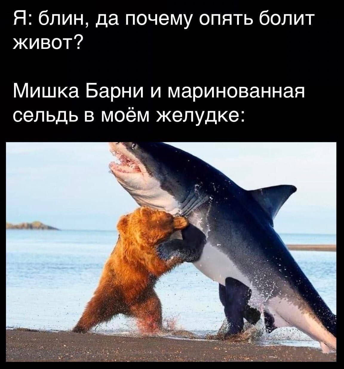 Я: блин, да почему опять болит живот? Мишка Барни и маринованная сельдь в моём желудке: