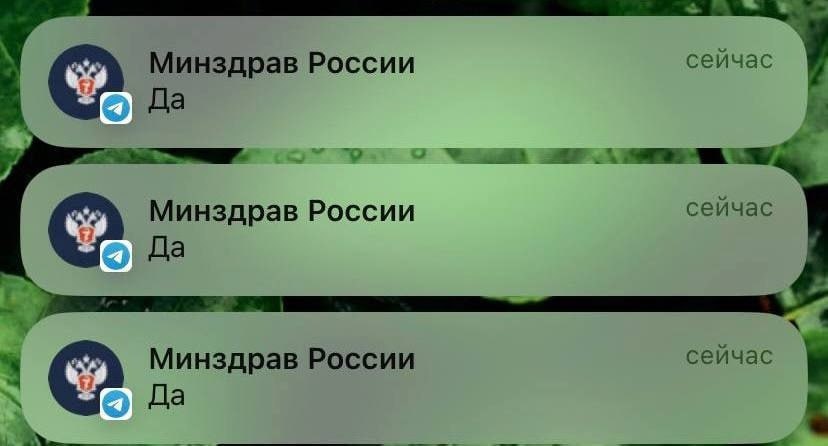 Минздрав России сейчас Да Минздрав России сейчас Да 4 Минздрав России сеичас Да