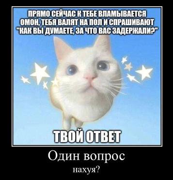 ПРЯМО СЕЙЧАС К TEBE ВЛАМЫВАЕТСЯ ОМОН, ТЕБЯ ВАЛЯТ НА ПОЛИ СПРАШИВАЮТ "КАНВЫ ДУМАЕТЕ, ЗА ЧТО ВАС ЗАДЕРЖАЛИ?" "к BOW Один вопрос нахуя”