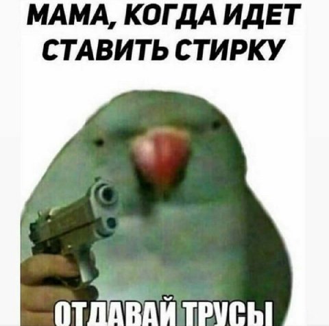 МАМА, КОГДА ИДЕТ СТАВИТЬ СТИРКУ