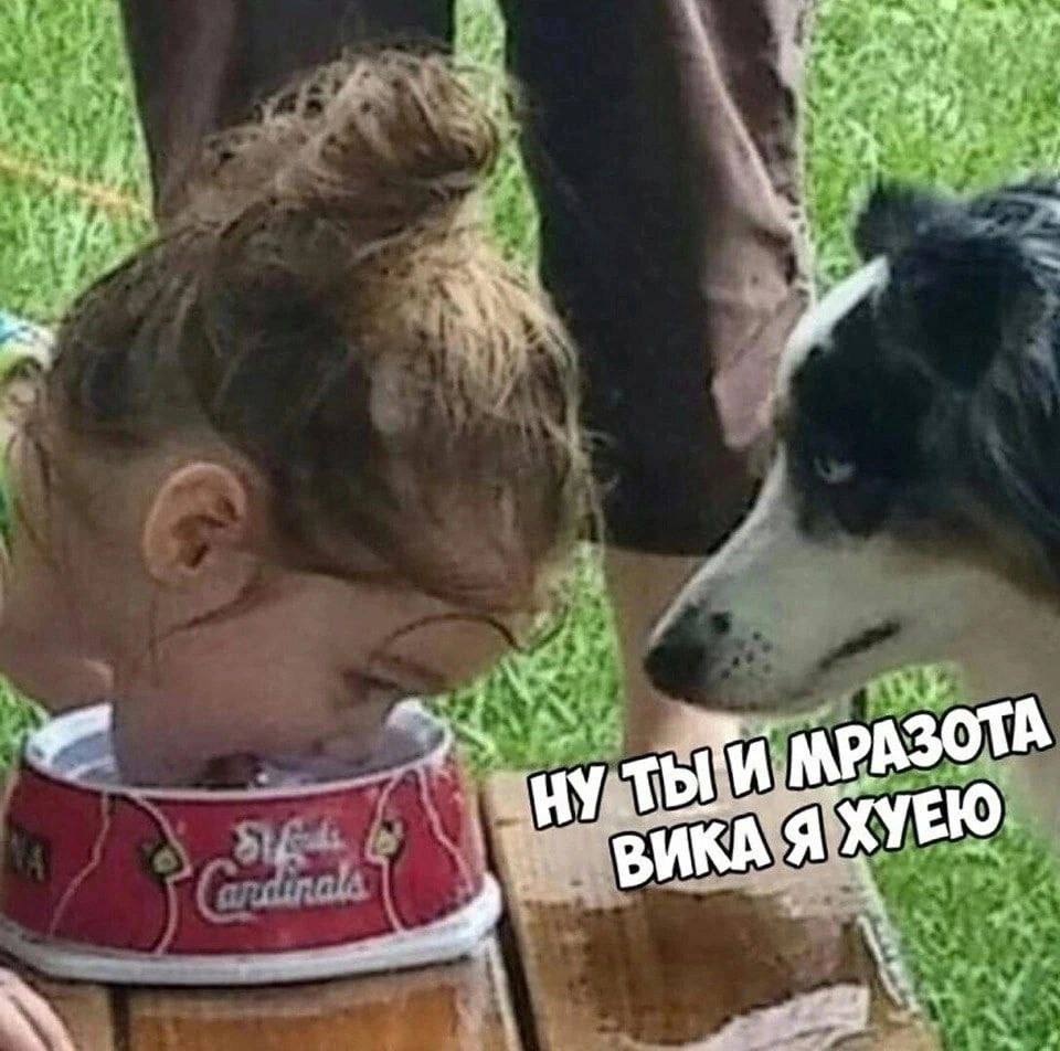 ВИКА Я