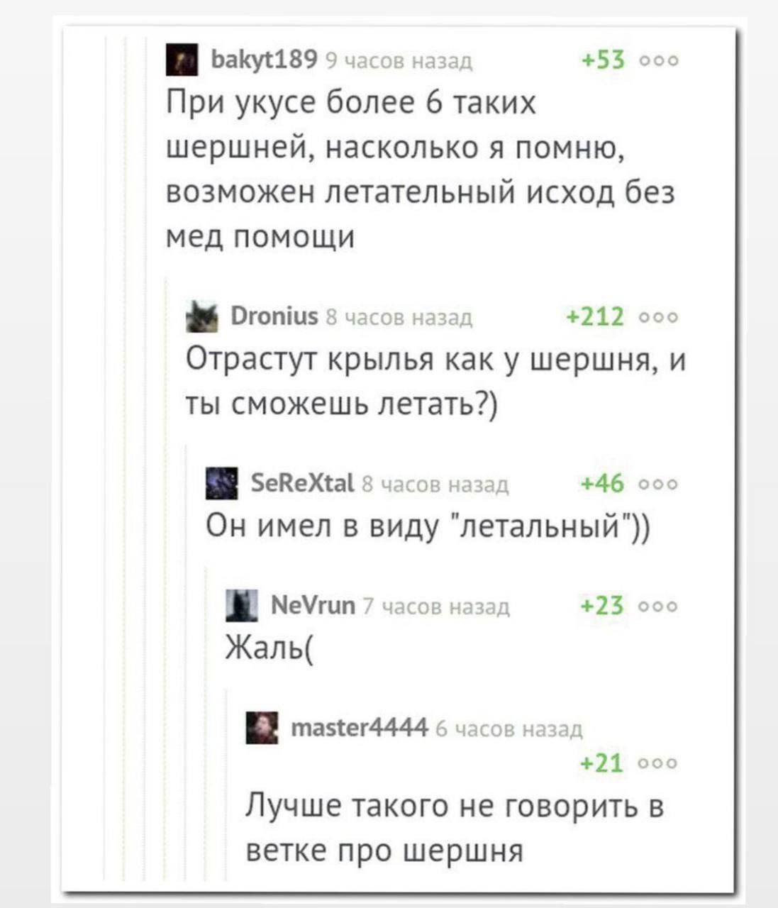 bakyt189 9 часов назад +53 ооо При укусе более 6 таких шершней, насколько я помню, возможен летательный исход без мед помощи Dronius 8 часов назад +212 ооо Отрастут крылья как у шершня, и ты сможешь л