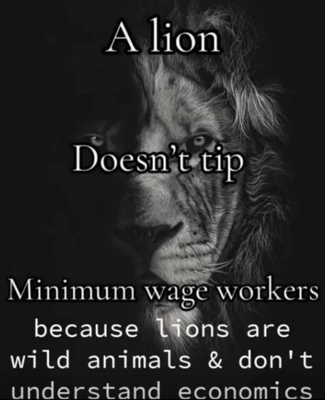 А lion Doesn 4 Minimum wage workers because are wild animals don't understand economics