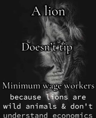 А lion Doesn 4 Minimum wage workers because are wild animals don't understand economics