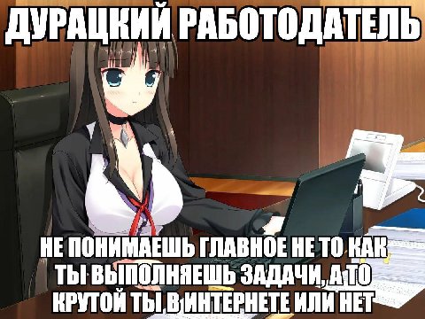 ДУРАЦКИЙ РАБОТОДАТЕЛЬ, НЕПОНИМАЕШЬ ГЛАВНОЕ НЕ TO.KAK ТЫ ВЫПОЛНЯЕШЬ ЗАДАЧИ, АТО ТЫ ИЛИ НЕТ