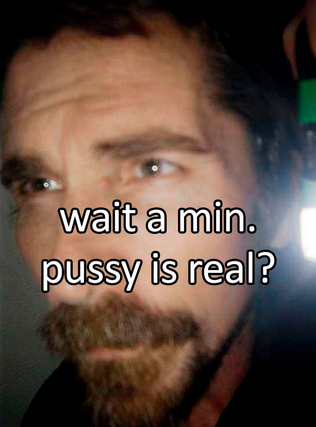 wait а min. pussy is real?