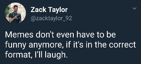 Zack Taylor Memes dont even have to be funny anymore, if it's in the correct format, Ill laugh.