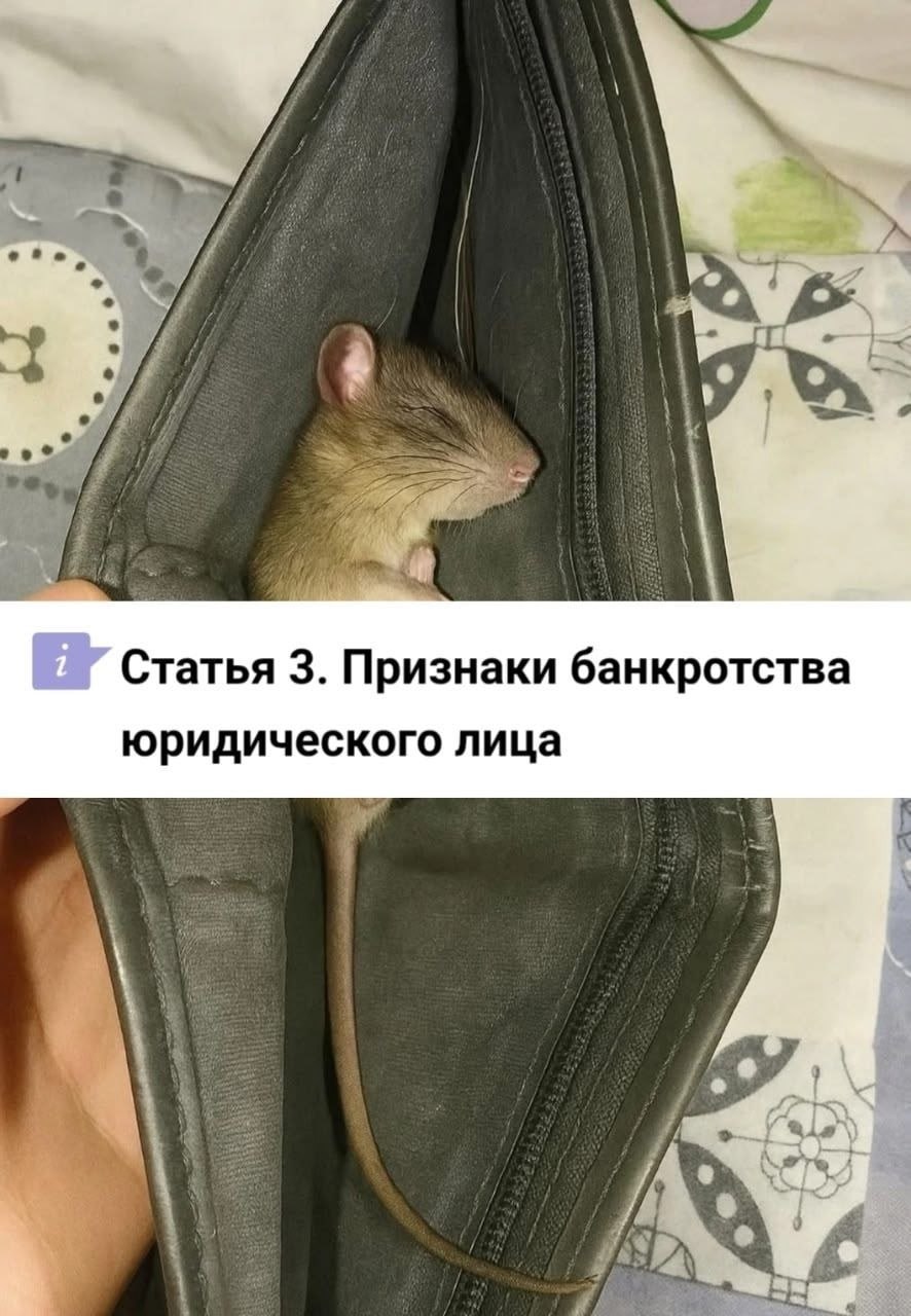 Статья 3. Признаки банкротства юридического лица 4