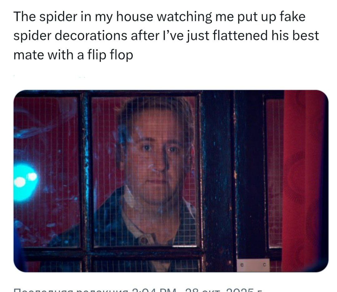 The spider in my house watching me put up fake spider decorations after just flattened his best mate with a flip flop