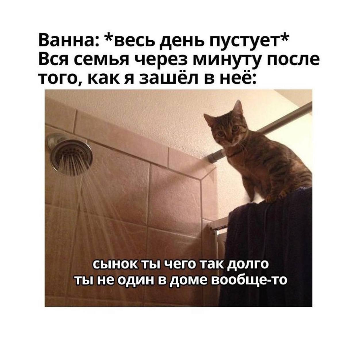 Ванна: *весь день пустует* Вся семья через минуту после того, как я зашёл в неё: сынок ты чего так долго ты не один в доме вообще-то