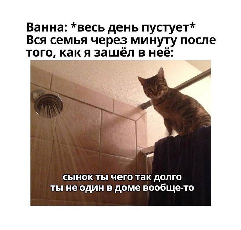 Ванна: *весь день пустует* Вся семья через минуту после того, как я зашёл в неё: сынок ты чего так долго ты не один в доме вообще-то