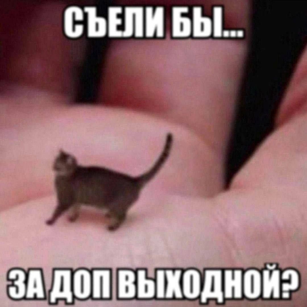СЪЕЛИ БЫ... ЗА ДОП ВЫХОДНОЙ?