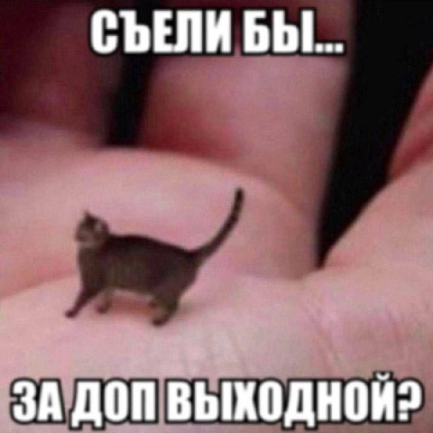 СЪЕЛИ БЫ... ЗА ДОП ВЫХОДНОЙ?