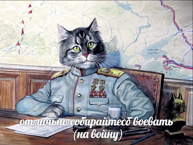 войну)