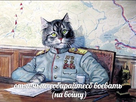 войну)