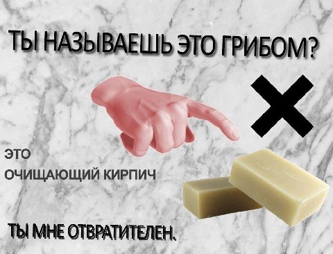ТЫ НАЗЫВАЕШЬ ЭТО ГРИБОМ? это ОЧИЩАЮЩИЙ КИРПИЧ ты МНЕ ОТВРАТИТЕЛЕН.