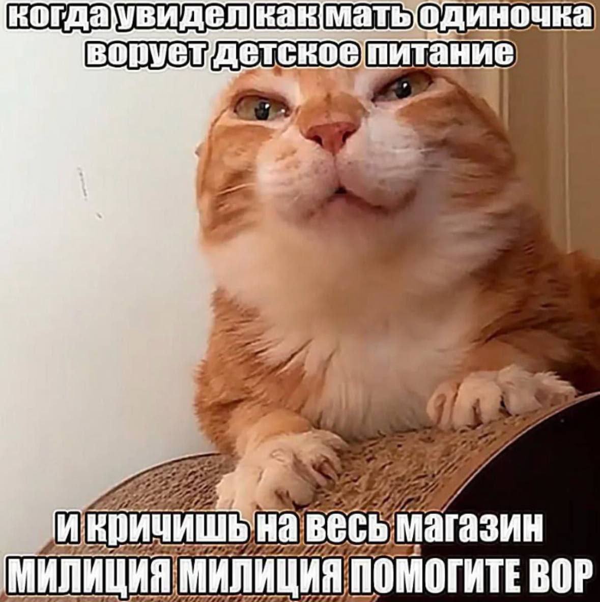 когдаувидел матьодиночка питание if на весь магазин МИЛИЦИЯ МИЛИЦИЯ ПОМОГИТЕ ВОР