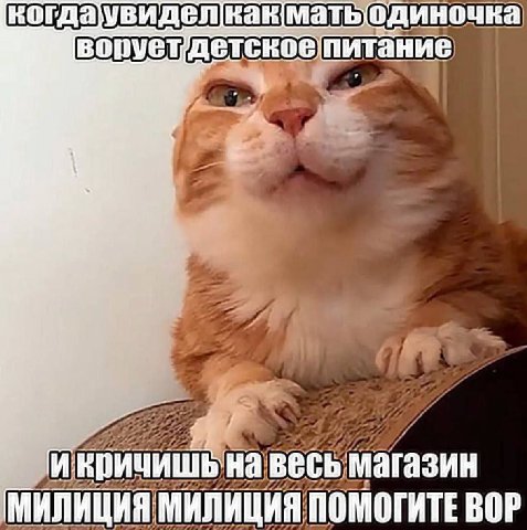 когдаувидел матьодиночка питание if на весь магазин МИЛИЦИЯ МИЛИЦИЯ ПОМОГИТЕ ВОР