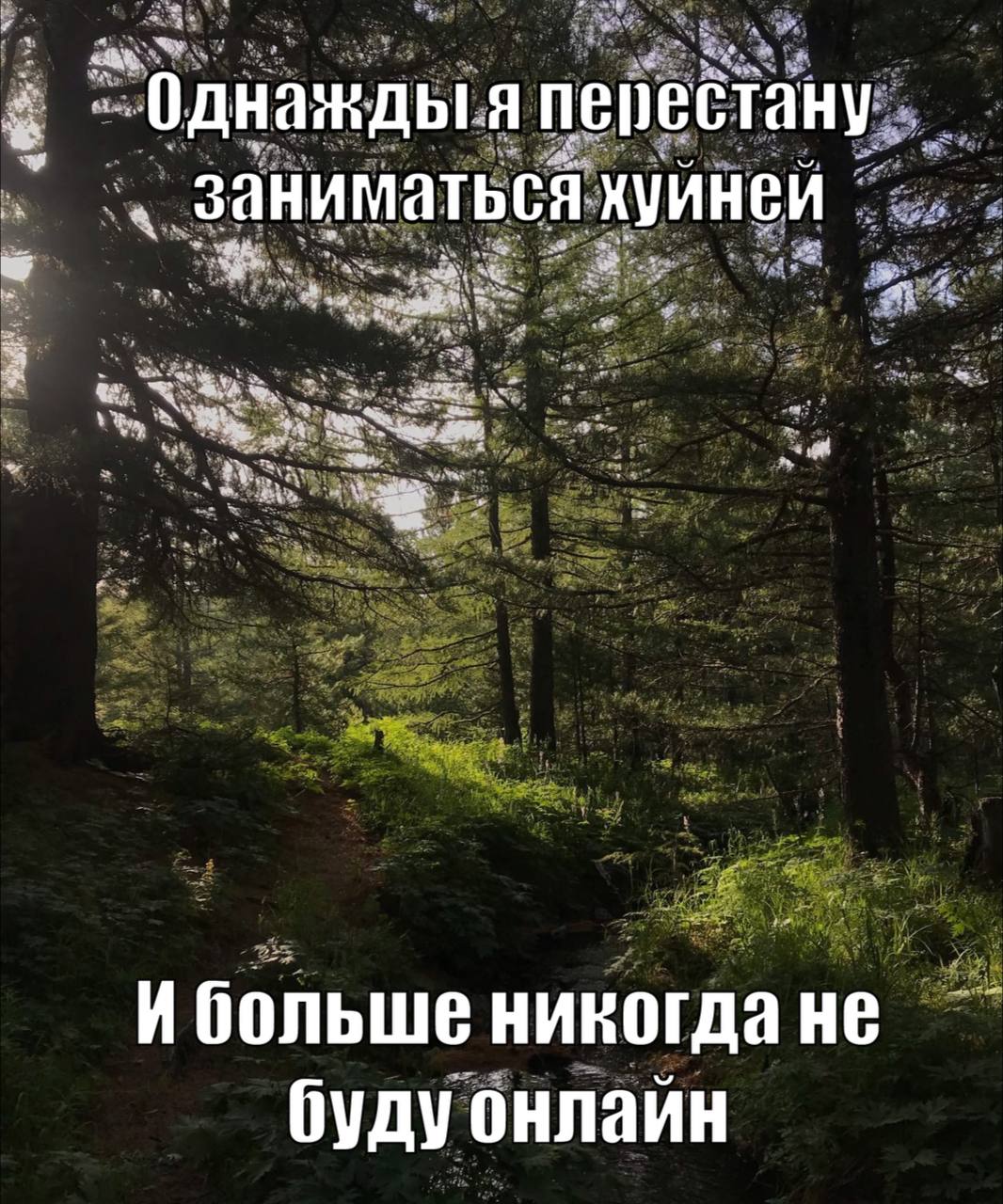 Однажды я перестану заниматься И больше никогда не буду онлайн