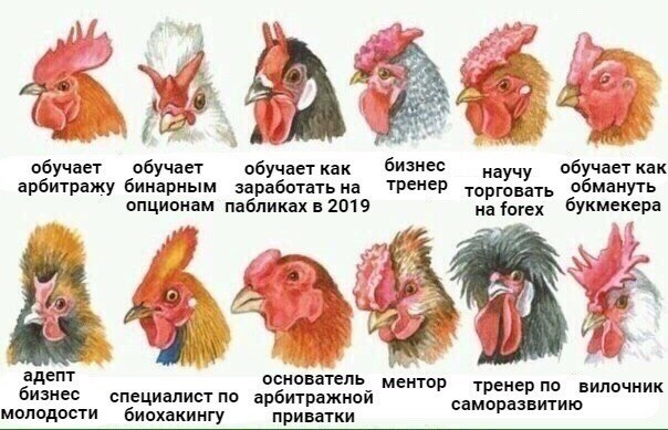 As бизнес обучает обучает обучает как научу обучает как арбитражу бинарным заработать на тренер торговать обмануть опционам пабликах в 2019 forex букмекера a 6 agent ментор тренер по вилочник бизнес с
