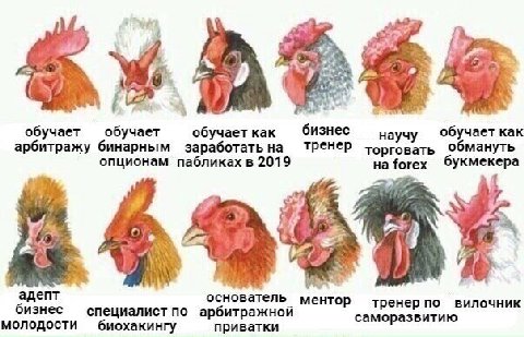 As бизнес обучает обучает обучает как научу обучает как арбитражу бинарным заработать на тренер торговать обмануть опционам пабликах в 2019 forex букмекера a 6 agent ментор тренер по вилочник бизнес с