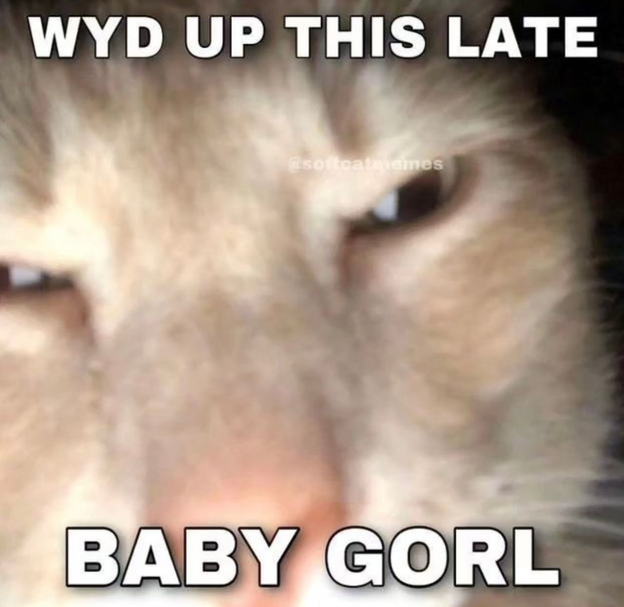 WYD UP THIS LATE